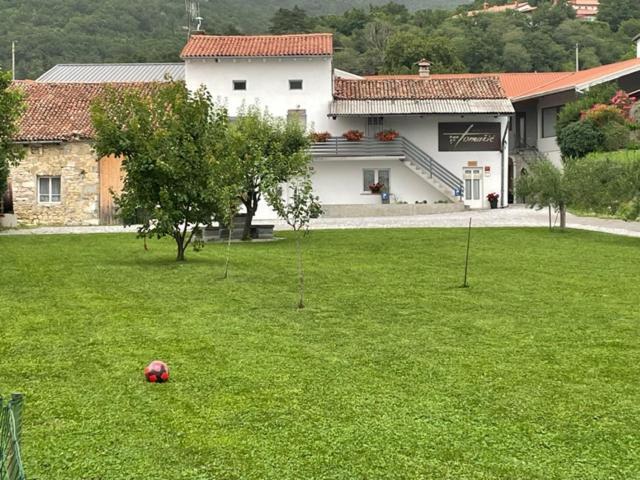 Kmetija Tomazic Vinska Klet - Winery Apartman Vipava Kültér fotó