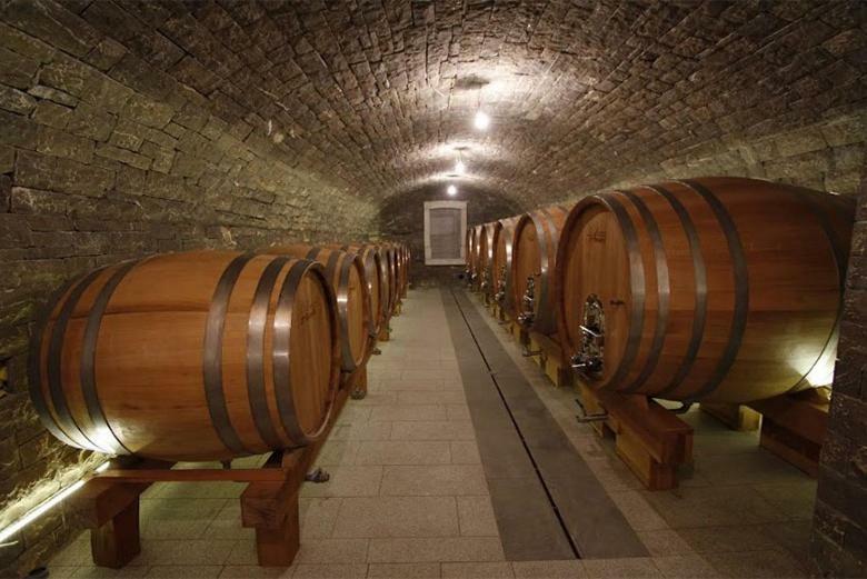 Kmetija Tomazic Vinska Klet - Winery Apartman Vipava Kültér fotó