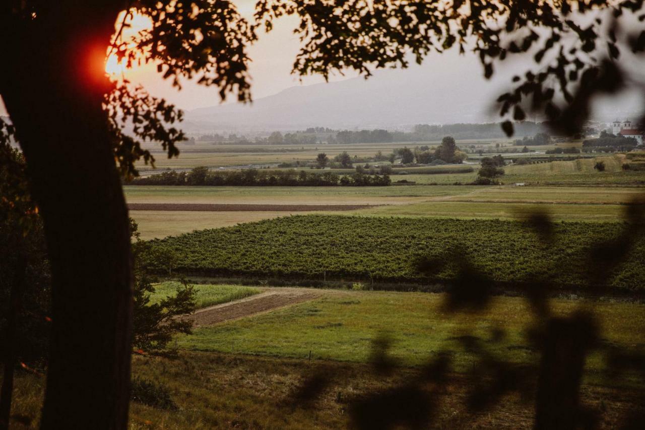 Kmetija Tomazic Vinska Klet - Winery Apartman Vipava Kültér fotó