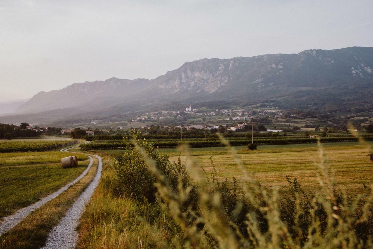 Kmetija Tomazic Vinska Klet - Winery Apartman Vipava Kültér fotó